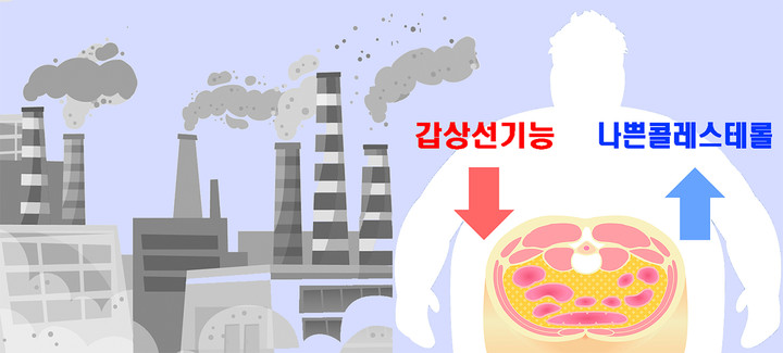 서울대병원 박진호·국립암센터 김현진 연구팀은 대기오염이 비만 수준에 따라 갑상선 호르몬과 나쁜 콜레스테롤(LDL-C)에 미치는 영향을 분석한 결과를 발표했다. ⓒ 서울대병원