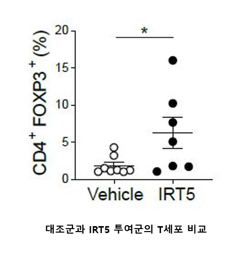 IRT5 투여군에서 대조군과 비교하면 면역조절 T세포 수가 많은 것으로 조사됐다. ⓒ 세브란스